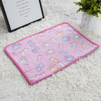 Cross-border pet blanket mat cat and dog flannel blanket autumn and winter warm blanket pet sleeping mat wholesale