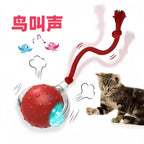 Cross-Border Cat Teaser Ball Pet Toy Ball Dog and Cat Self-Entertainment Boredom-Relief Gadget Pet Toy Cat Toy Pet Supplies